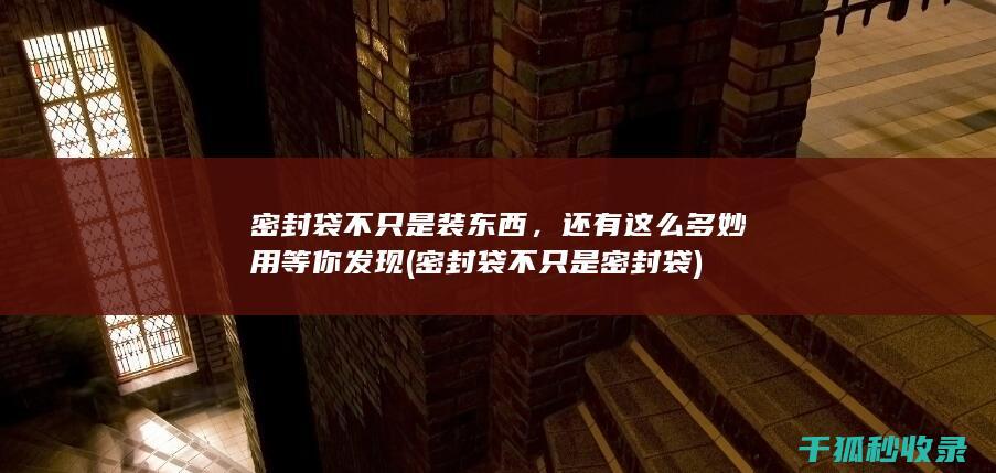 密封袋不只是装东西，还有这么多妙用等你发现 (密封袋不只是密封袋)