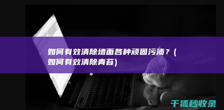如何有效清除墙面各种顽固污渍？ (如何有效清除青苔)