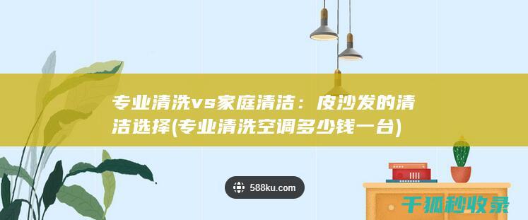 专业清洗 vs 家庭清洁：皮沙发的清洁选择 (专业清洗空调多少钱一台)