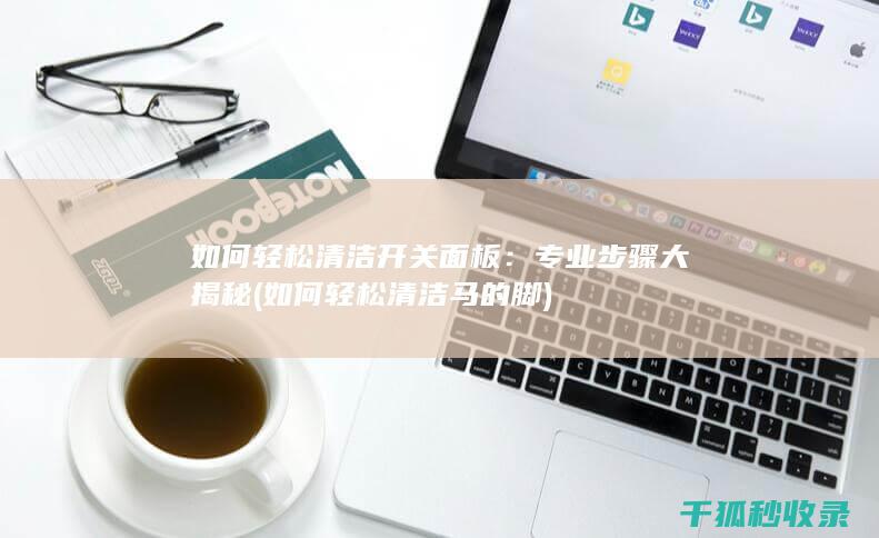 如何轻松清洁开关面板：专业步骤大揭秘 (如何轻松清洁马的脚)