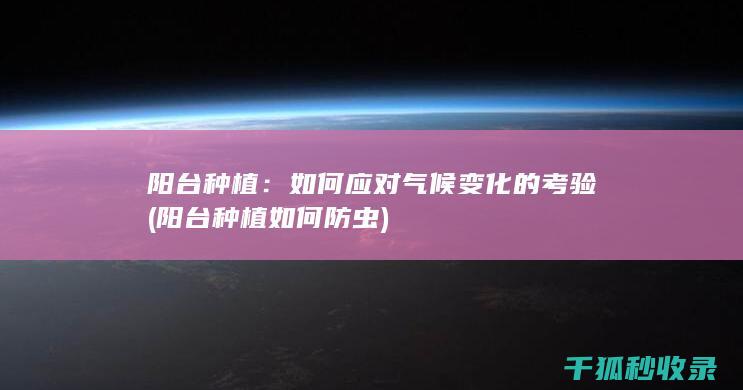 阳台种植：如何应对气候变化的考验 (阳台种植如何防虫)